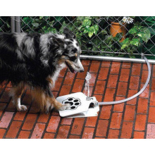 Fontaine à eau pour chien Pet Zoomer 2017